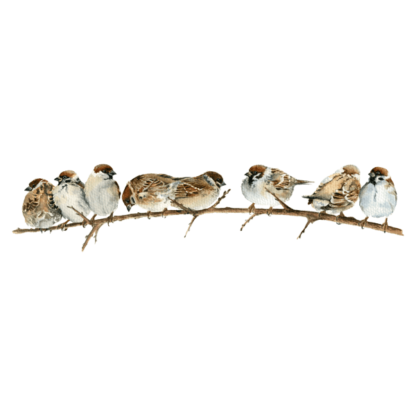 Wall Stickers: Sparrows on the Branch