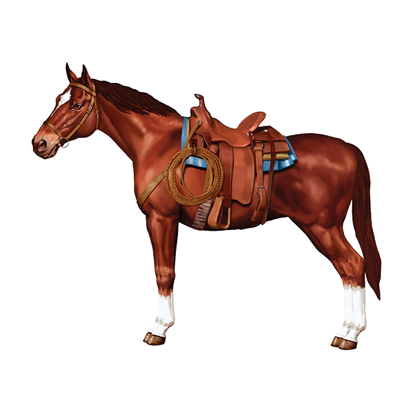 Wall Stickers: Horse Riding