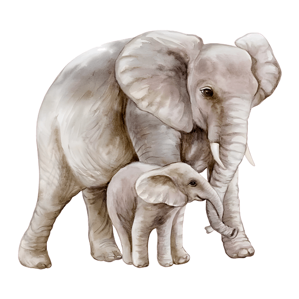 Stickers for Kids: Elephant with its calf