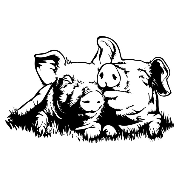 Wall Stickers: Pair of pigs