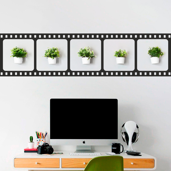 Wall Stickers: Border Movies