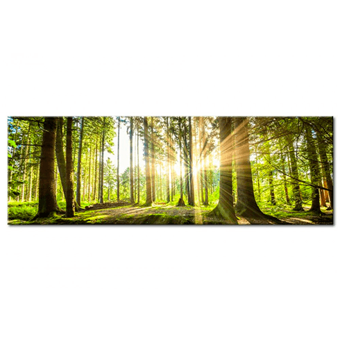 Other products: Daylight