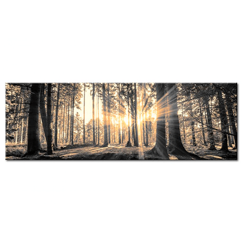 Other products: The sun in the forest