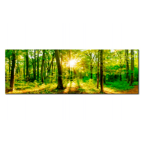 Other products: Magic forest