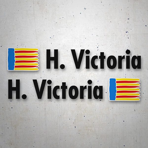 Car & Motorbike Stickers: 2X Flags Valencia + Name in black