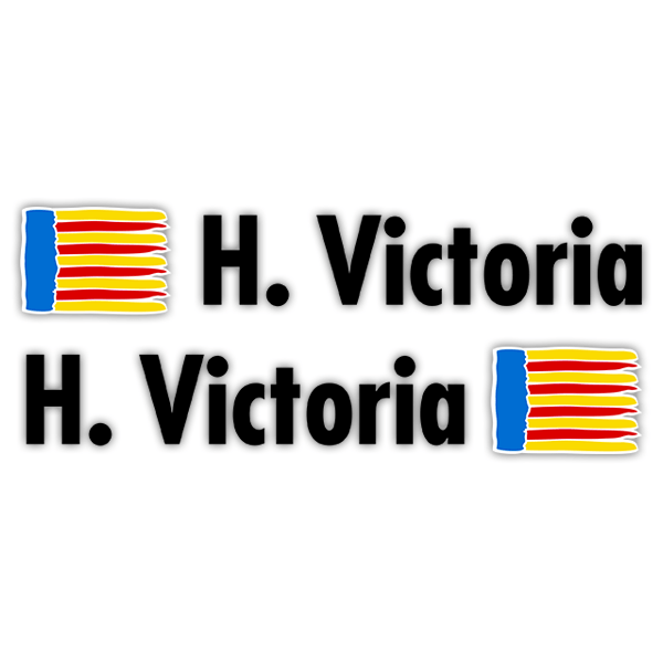 Car & Motorbike Stickers: 2X Flags Valencia + Name in black