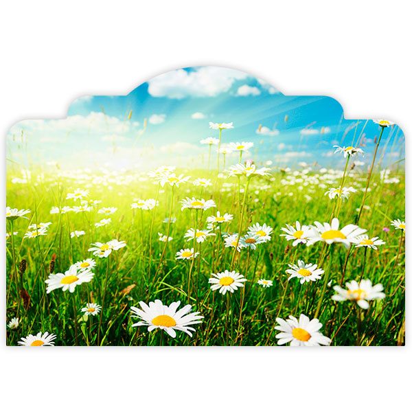 Wall Stickers: Bed Headboard Field of daisies