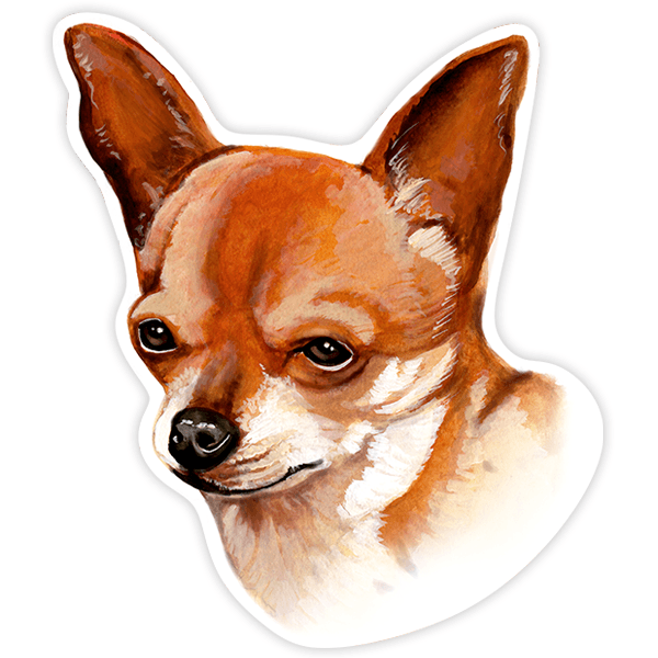 Car & Motorbike Stickers: Chihuahua