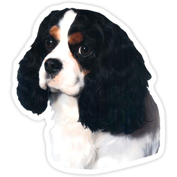 Car & Motorbike Stickers: Cavalier King Charles Spaniel