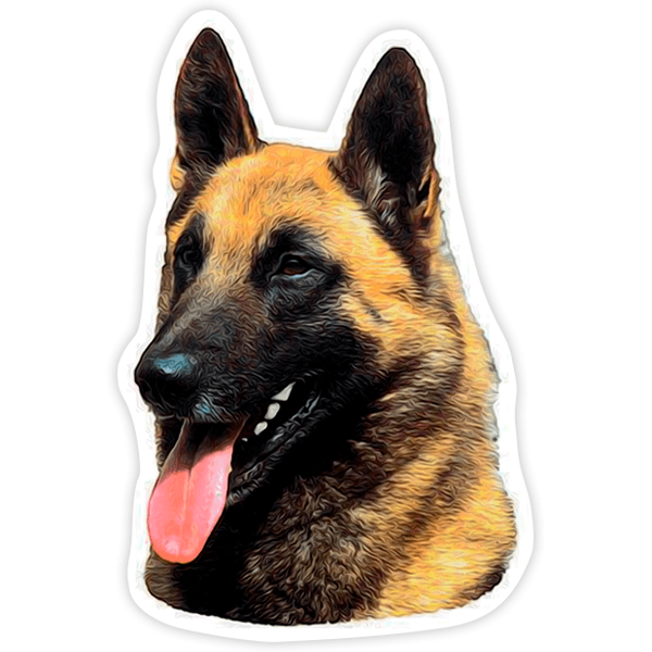 Car & Motorbike Stickers: Belgian Malinois shepherd