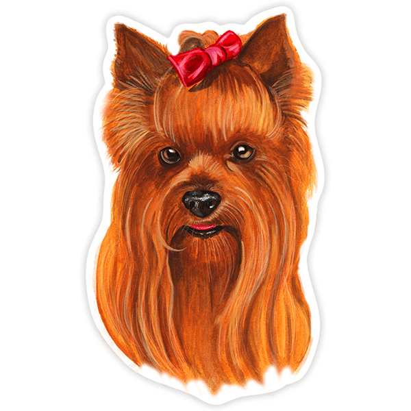 Car & Motorbike Stickers: Yorkshire Terrier