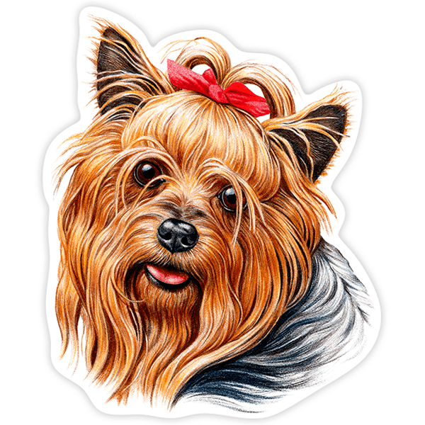 Car & Motorbike Stickers: Yorkie