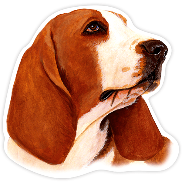 Car & Motorbike Stickers: Basset Hound red