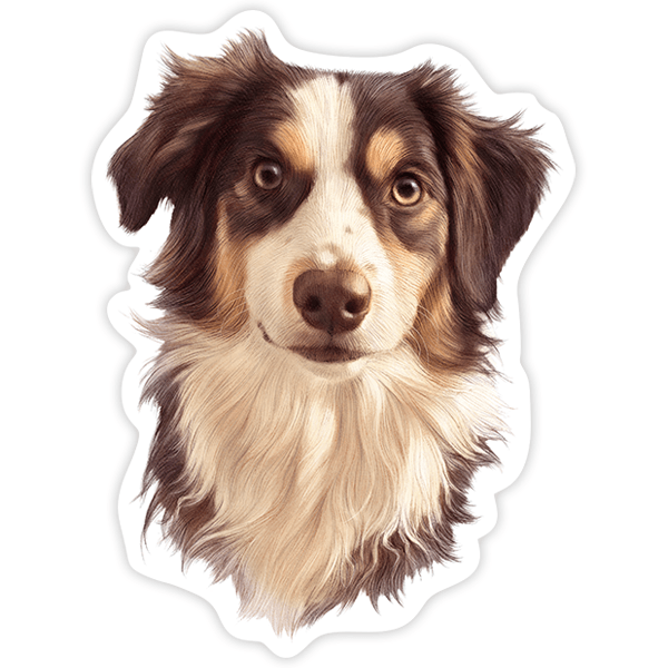 Car & Motorbike Stickers: Australian Border Collie