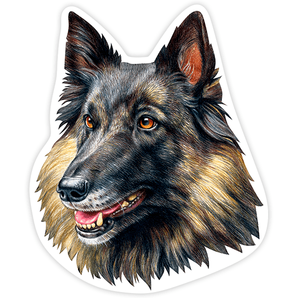 Car & Motorbike Stickers: Belgian Tervuren