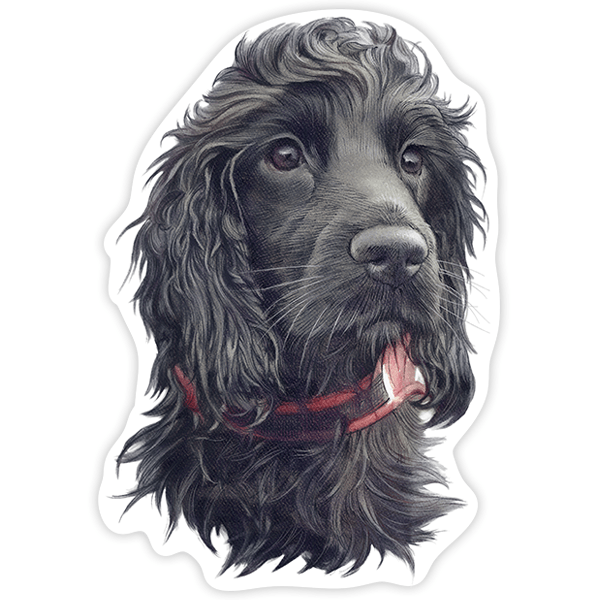 Car & Motorbike Stickers: Black Spaniel Cocker