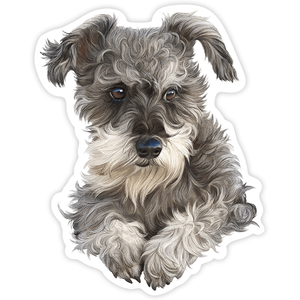 Car & Motorbike Stickers: Schnauzer puppy