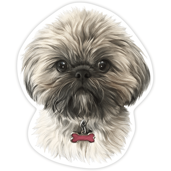 Car & Motorbike Stickers: Tibetan Shih Tzu