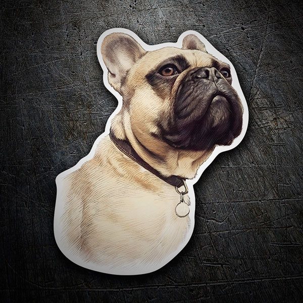 Car & Motorbike Stickers: French Bulldog ochre
