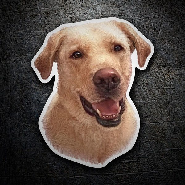 Car & Motorbike Stickers: Golden Retriever white