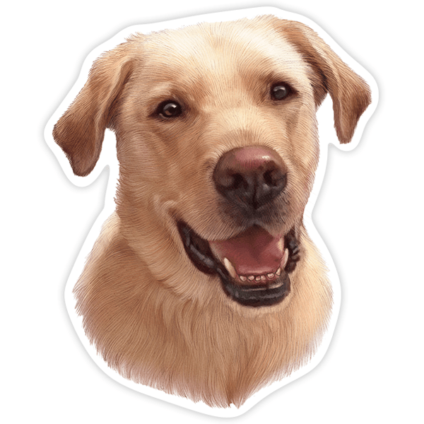 Car & Motorbike Stickers: Golden Retriever white