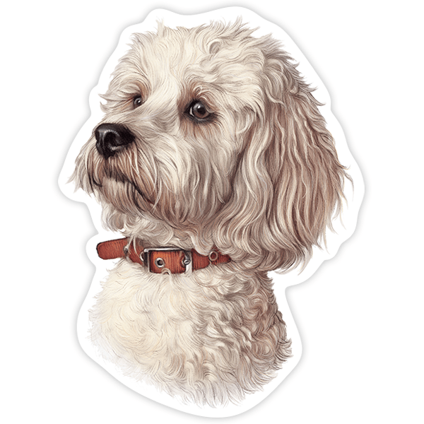 Car & Motorbike Stickers: White Maltese bichon