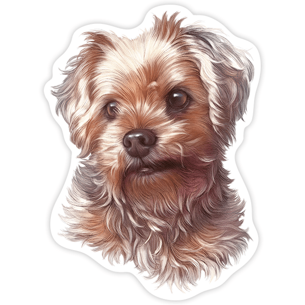 Car & Motorbike Stickers: Yorkshire Terrier