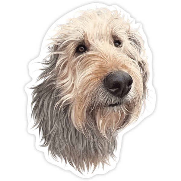 Car & Motorbike Stickers: Griffon vandeano basset small