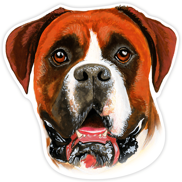 Car & Motorbike Stickers: Boxer