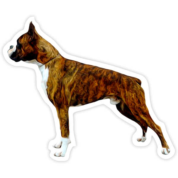 Car & Motorbike Stickers: Brindle Boxer