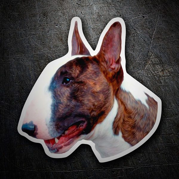Car & Motorbike Stickers: English Bull Terrier