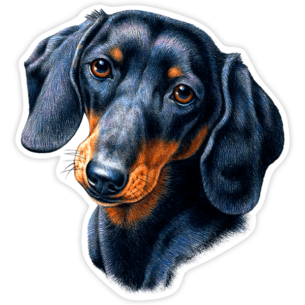 Car & Motorbike Stickers: Dachshund