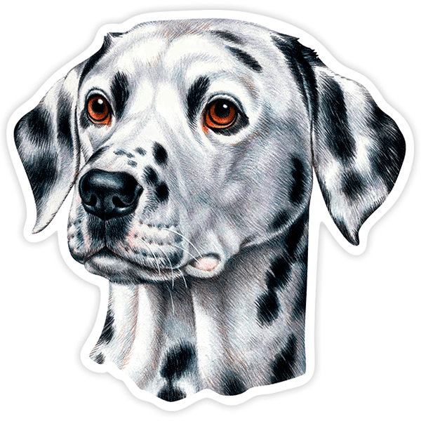 Car & Motorbike Stickers: Dalmatian