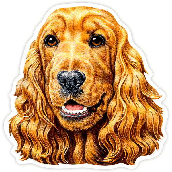 Car & Motorbike Stickers: Cocker Spaniel brown