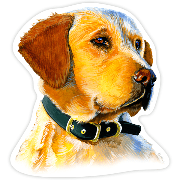 Car & Motorbike Stickers: Golden Retriever