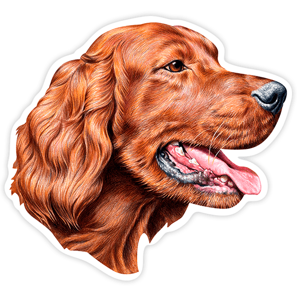 Car & Motorbike Stickers: Irish Setter