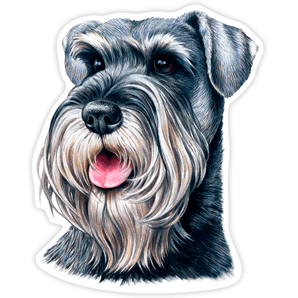 Car & Motorbike Stickers: Schnauzer