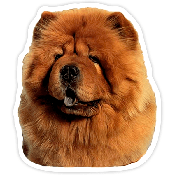 Car & Motorbike Stickers: Chow Chow