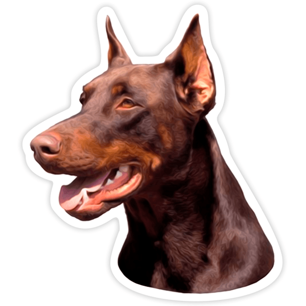 Car & Motorbike Stickers: Doberman