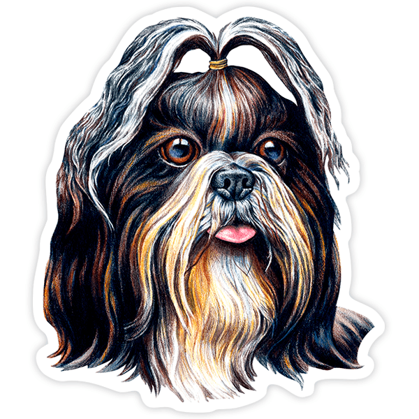 Car & Motorbike Stickers: Shih Tzu