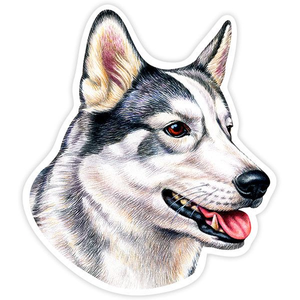 Car & Motorbike Stickers: Siberian Husky
