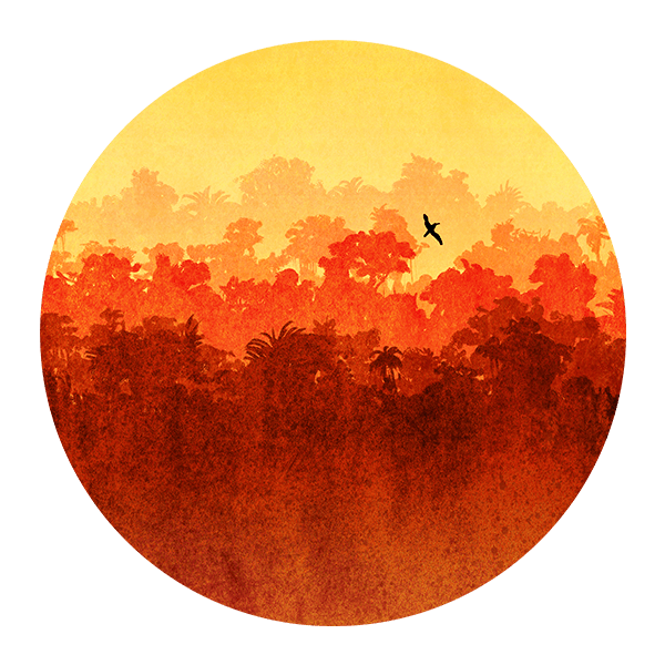 Wall Stickers: Sunset in the Jungle