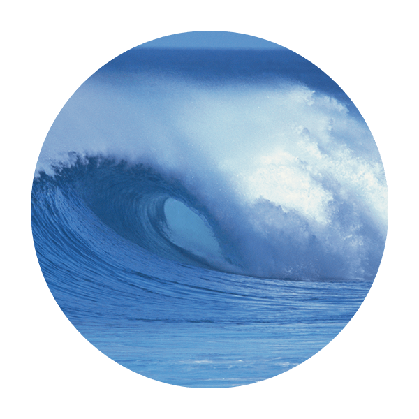 Wall Stickers: Surfing Wave