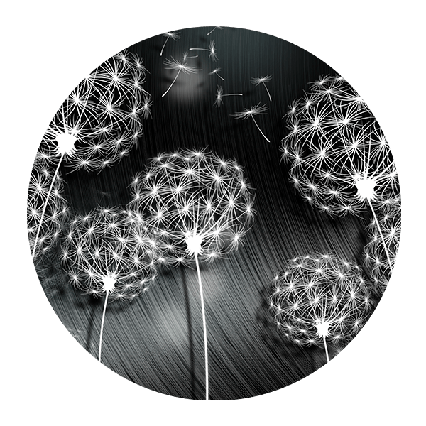 Wall Stickers: Dandelions II