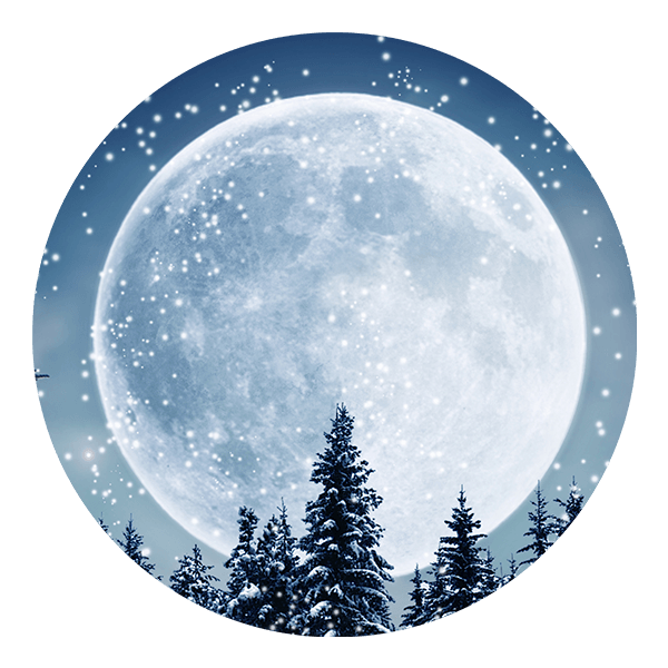 Wall Stickers: Full Moon in the Forest