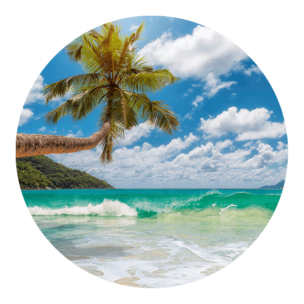 Wall Stickers: Caribbean Beach