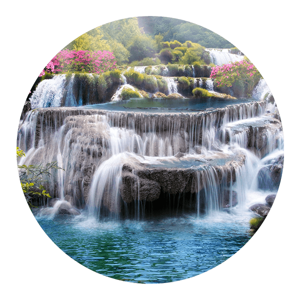 Wall Stickers: Natural Paradise