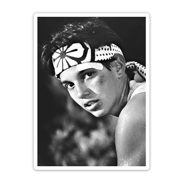 Car & Motorbike Stickers: Daniel LaRusso fights