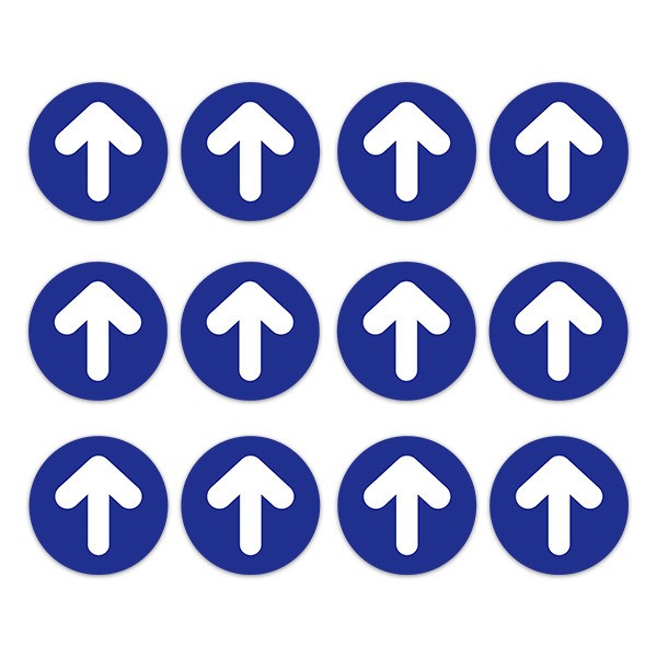 Car & Motorbike Stickers: Set For Floor 12X Blue and White Arrows