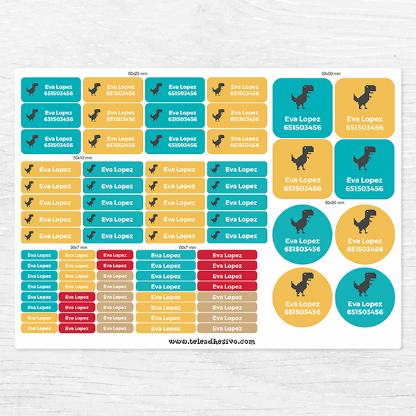 Car & Motorbike Stickers: Kit Name labels dinosaur